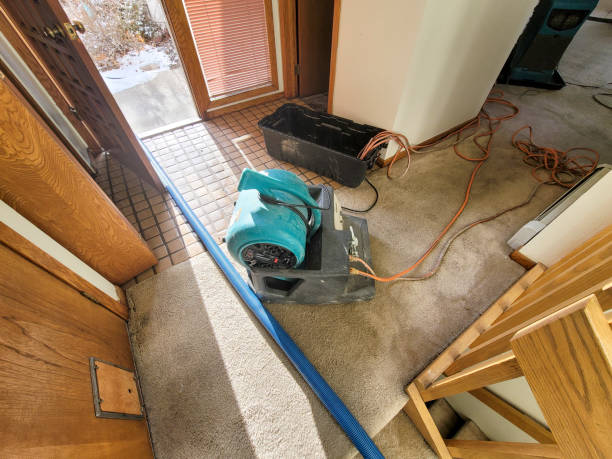 Best Water damage restoration near me  in San Leon, TX