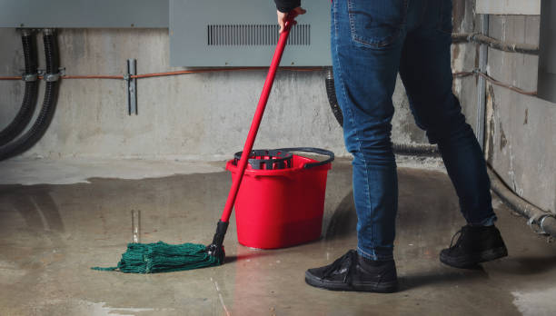 Best Water damage restoration near me  in San Leon, TX