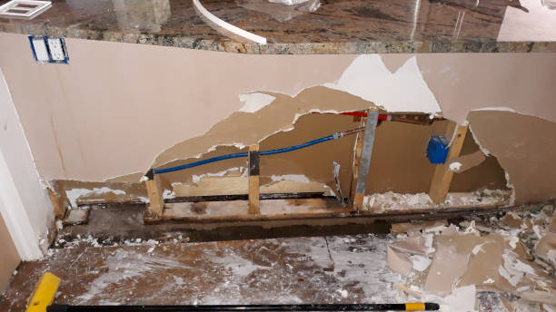 Best Water damage contractors near me  in San Leon, TX