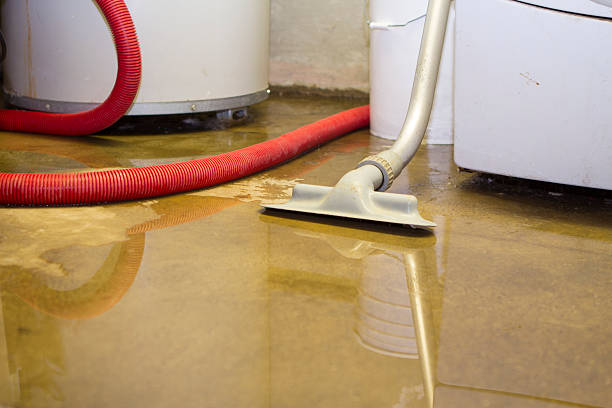 Best 24/7 water damage repair  in San Leon, TX
