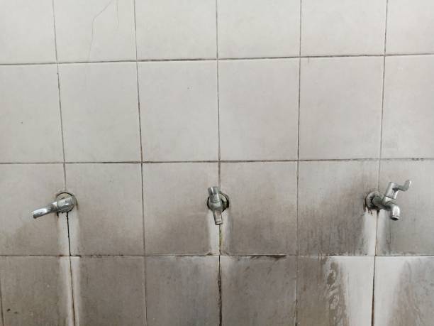 Best Ceiling water damage repair  in San Leon, TX