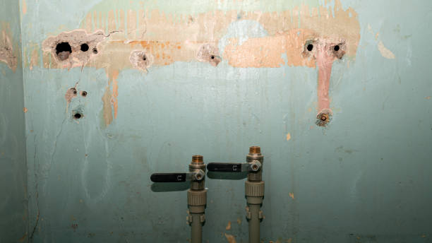 Best 24-hour water damage restoration  in San Leon, TX